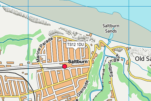 TS12 1DU map - OS VectorMap District (Ordnance Survey)