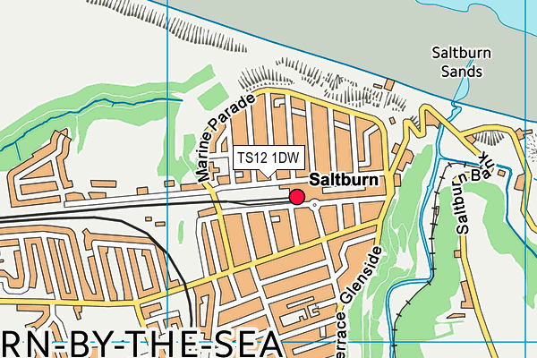 TS12 1DW map - OS VectorMap District (Ordnance Survey)