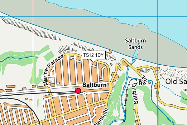 TS12 1DY map - OS VectorMap District (Ordnance Survey)