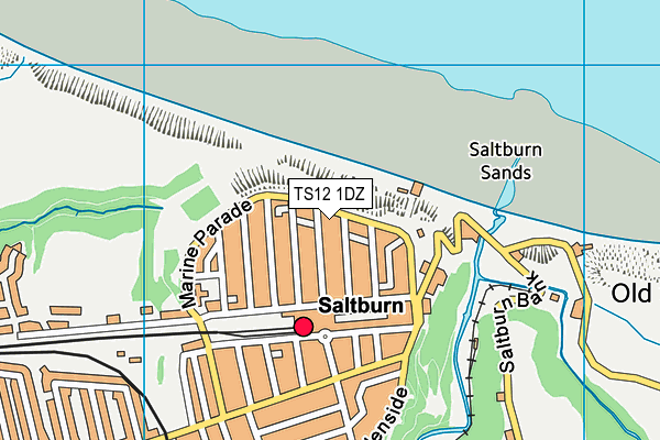 TS12 1DZ map - OS VectorMap District (Ordnance Survey)