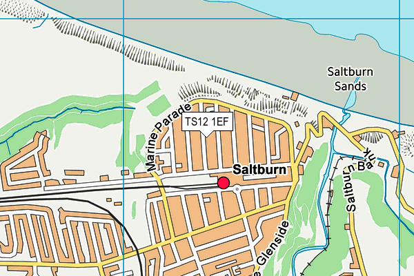 TS12 1EF map - OS VectorMap District (Ordnance Survey)