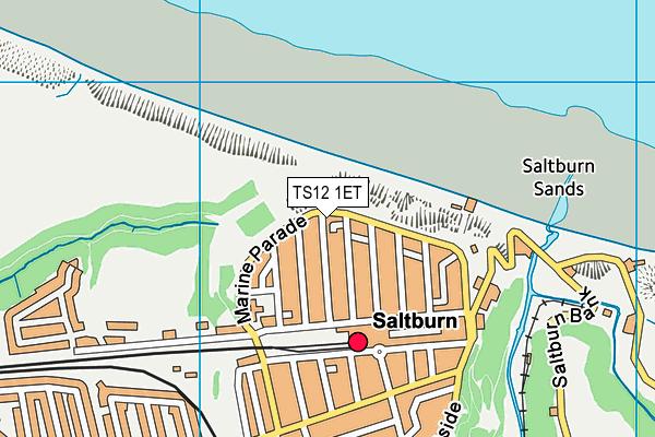 TS12 1ET map - OS VectorMap District (Ordnance Survey)