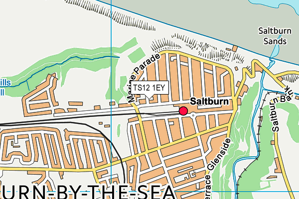 TS12 1EY map - OS VectorMap District (Ordnance Survey)