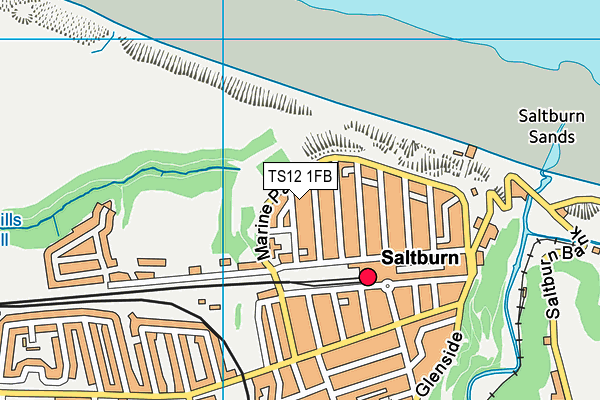 TS12 1FB map - OS VectorMap District (Ordnance Survey)