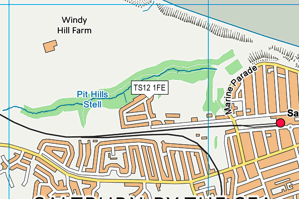 TS12 1FE map - OS VectorMap District (Ordnance Survey)