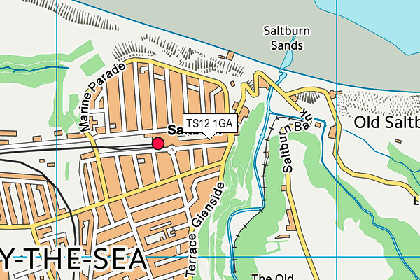 TS12 1GA map - OS VectorMap District (Ordnance Survey)