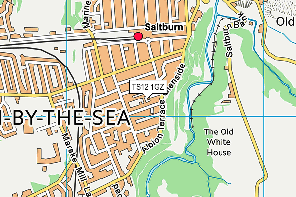 TS12 1GZ map - OS VectorMap District (Ordnance Survey)