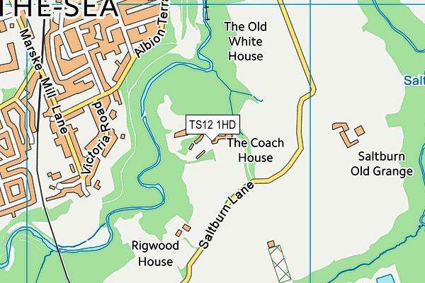 TS12 1HD map - OS VectorMap District (Ordnance Survey)