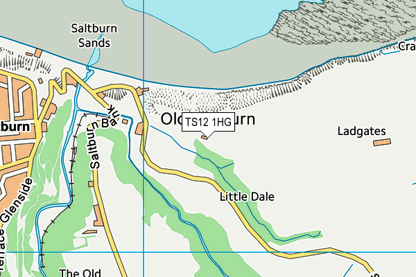 TS12 1HG map - OS VectorMap District (Ordnance Survey)