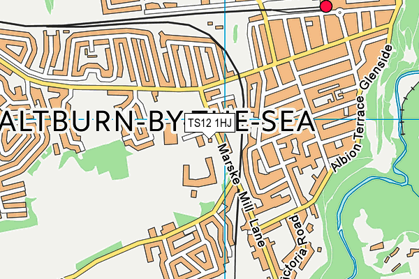 TS12 1HJ map - OS VectorMap District (Ordnance Survey)