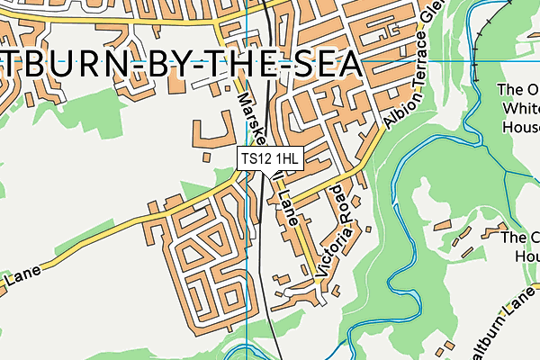 TS12 1HL map - OS VectorMap District (Ordnance Survey)