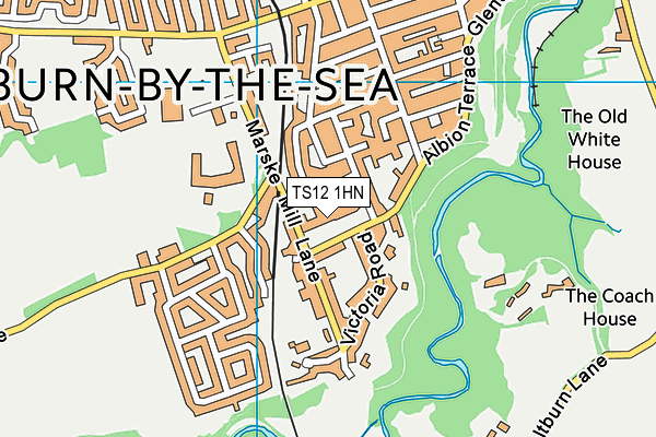 TS12 1HN map - OS VectorMap District (Ordnance Survey)
