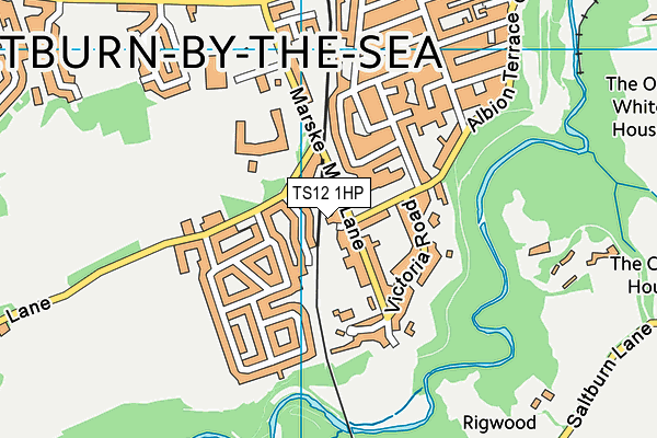 TS12 1HP map - OS VectorMap District (Ordnance Survey)