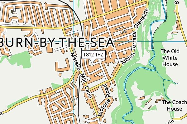 TS12 1HZ map - OS VectorMap District (Ordnance Survey)