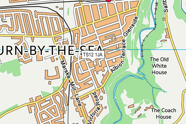 TS12 1JA map - OS VectorMap District (Ordnance Survey)