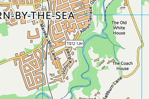 TS12 1JH map - OS VectorMap District (Ordnance Survey)