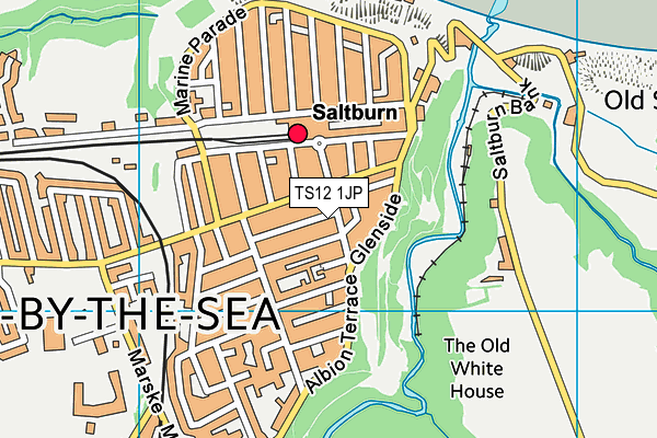 TS12 1JP map - OS VectorMap District (Ordnance Survey)