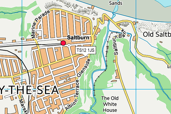 TS12 1JS map - OS VectorMap District (Ordnance Survey)