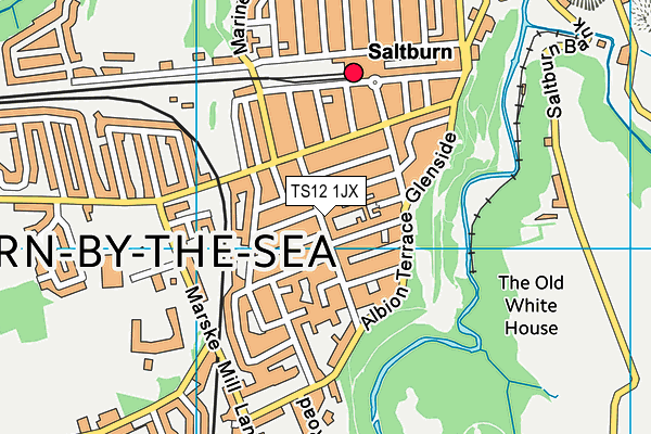 TS12 1JX map - OS VectorMap District (Ordnance Survey)