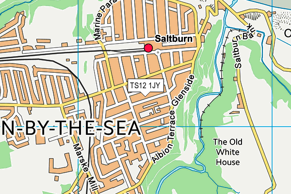 TS12 1JY map - OS VectorMap District (Ordnance Survey)