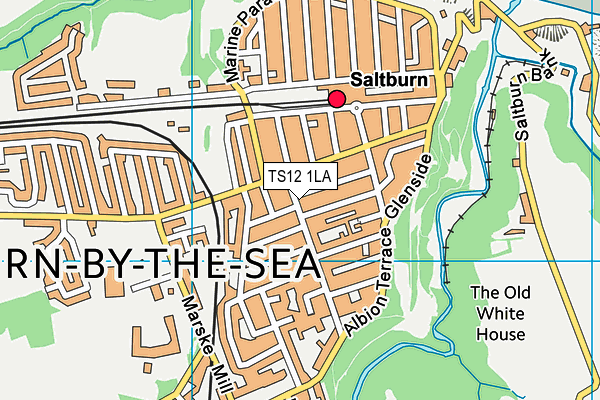 TS12 1LA map - OS VectorMap District (Ordnance Survey)