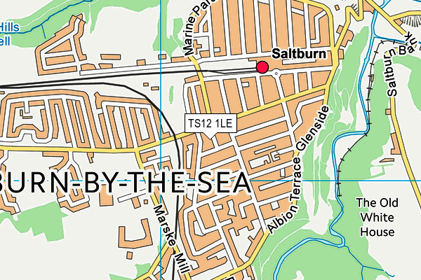 TS12 1LE map - OS VectorMap District (Ordnance Survey)