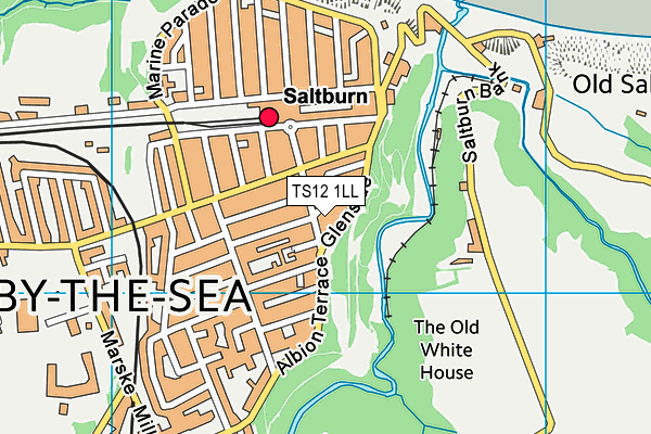 TS12 1LL map - OS VectorMap District (Ordnance Survey)