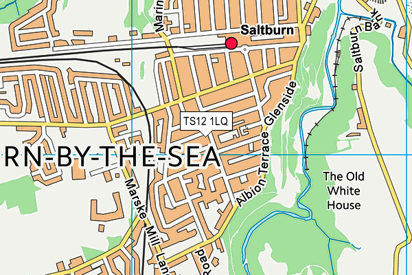 TS12 1LQ map - OS VectorMap District (Ordnance Survey)