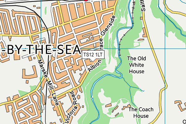 TS12 1LT map - OS VectorMap District (Ordnance Survey)
