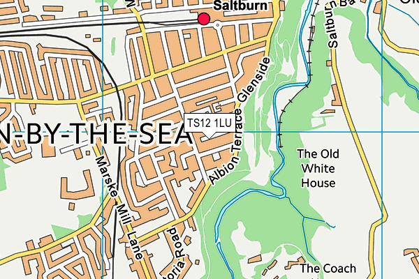 TS12 1LU map - OS VectorMap District (Ordnance Survey)