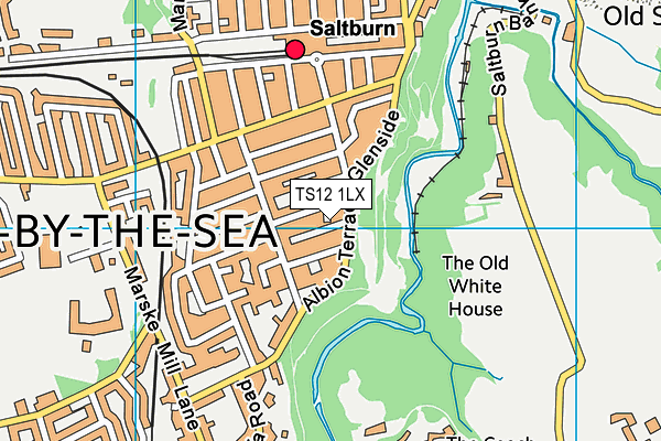 TS12 1LX map - OS VectorMap District (Ordnance Survey)