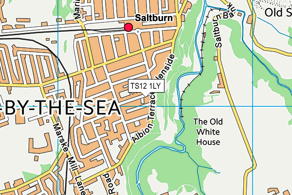 TS12 1LY map - OS VectorMap District (Ordnance Survey)