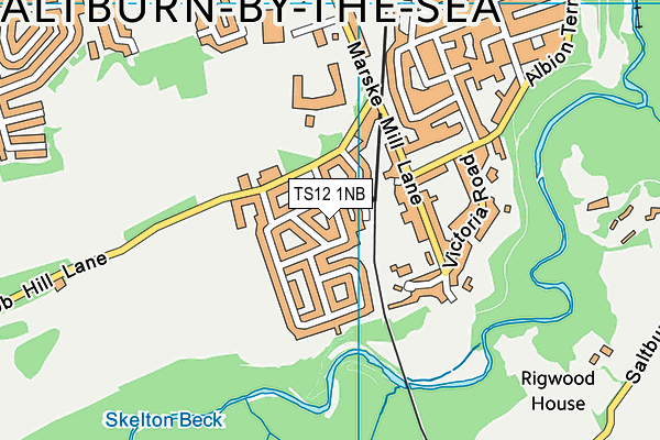 TS12 1NB map - OS VectorMap District (Ordnance Survey)