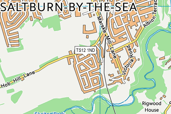 TS12 1ND map - OS VectorMap District (Ordnance Survey)