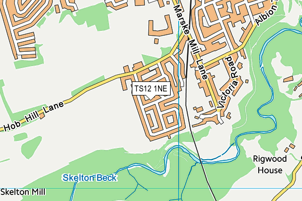 TS12 1NE map - OS VectorMap District (Ordnance Survey)