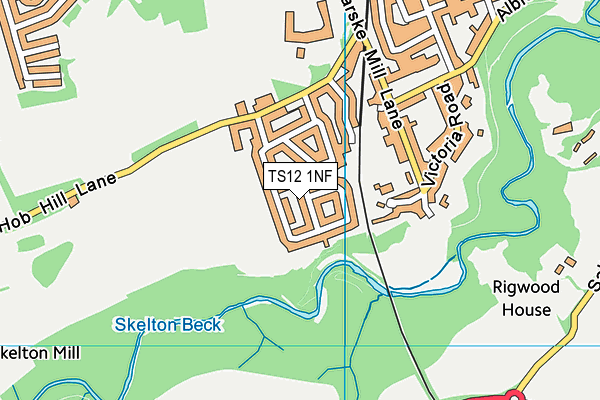 TS12 1NF map - OS VectorMap District (Ordnance Survey)