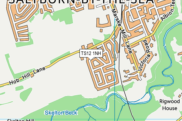 TS12 1NH map - OS VectorMap District (Ordnance Survey)