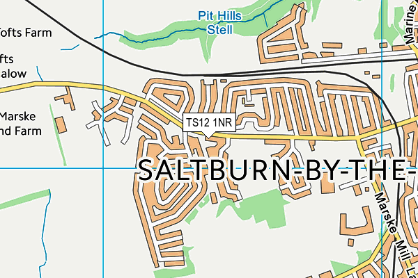 TS12 1NR map - OS VectorMap District (Ordnance Survey)