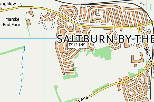 TS12 1NS map - OS VectorMap District (Ordnance Survey)