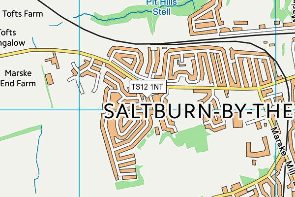 TS12 1NT map - OS VectorMap District (Ordnance Survey)