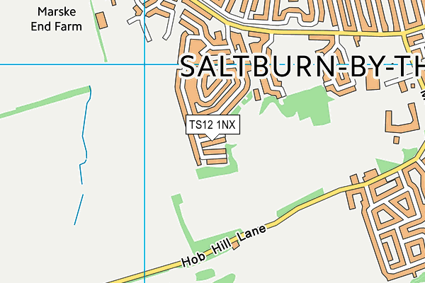 TS12 1NX map - OS VectorMap District (Ordnance Survey)