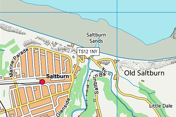 TS12 1NY map - OS VectorMap District (Ordnance Survey)