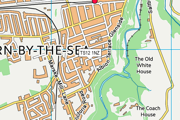 TS12 1NZ map - OS VectorMap District (Ordnance Survey)