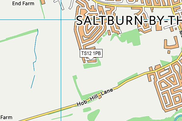 TS12 1PB map - OS VectorMap District (Ordnance Survey)