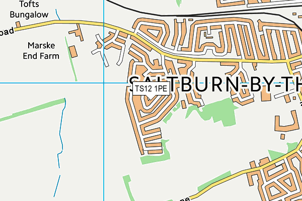 TS12 1PE map - OS VectorMap District (Ordnance Survey)