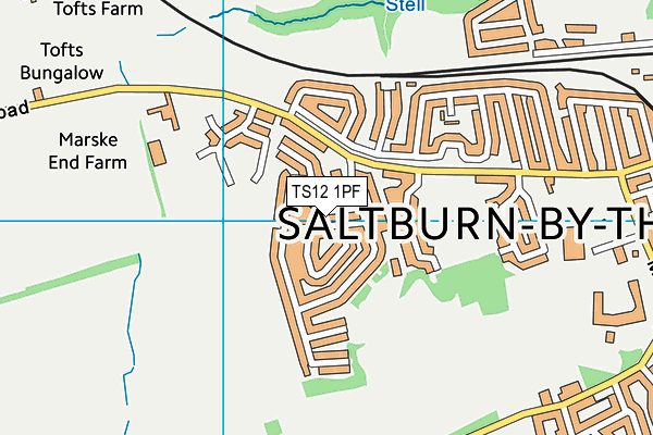 TS12 1PF map - OS VectorMap District (Ordnance Survey)