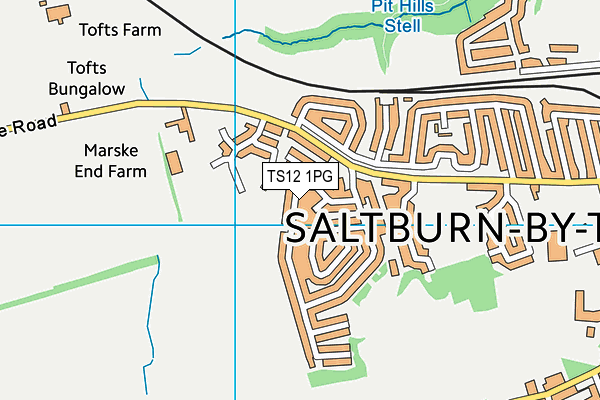 TS12 1PG map - OS VectorMap District (Ordnance Survey)