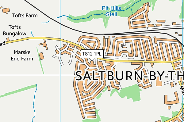 TS12 1PL map - OS VectorMap District (Ordnance Survey)