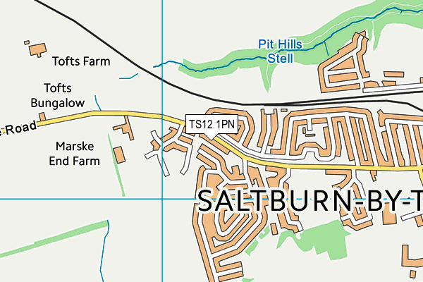 TS12 1PN map - OS VectorMap District (Ordnance Survey)