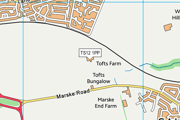 TS12 1PP map - OS VectorMap District (Ordnance Survey)